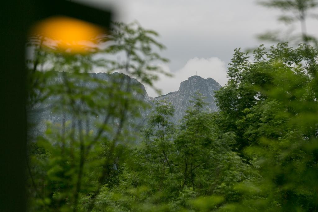 Apartamenty Stara Polana Zakopane Exterior foto